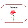 January