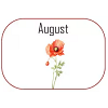 August