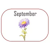 September
