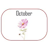 October