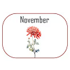 November