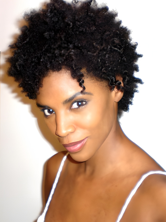 Fabulous Lace Front Curly Synthetic African American Wig