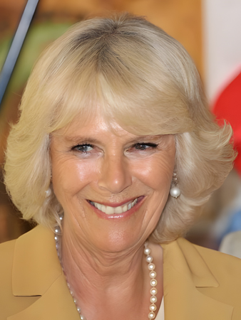 Elegant Capless Synthetic Wavy Bob Wig