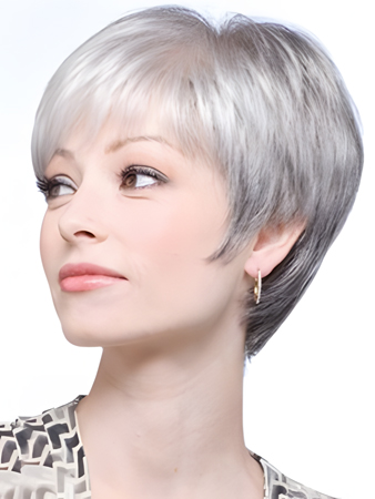 Lace Front Short Straight Synthetic Gray Wig