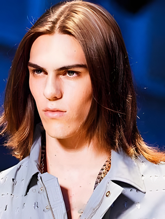 Brilliant Synthetic Straight Lace Front Wig