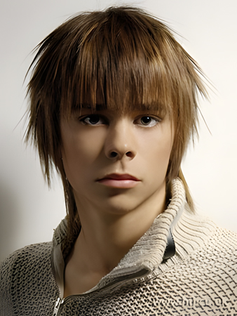 Popular Capless Straight Synthetic Wig