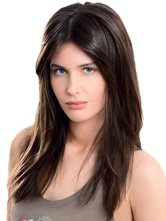 Elegant Lace Front Straight Synthetic Wig