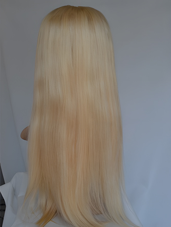 Lace Front Long Straight U Part Wig