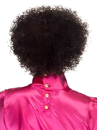 Classic Lace Front Curly African American Wig