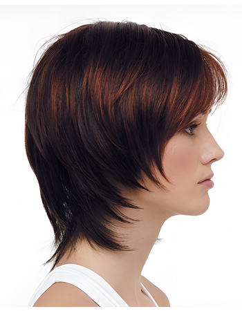 Fashion Full Lace Straight Wig