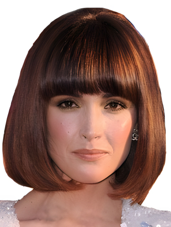 Good Looking Capless Human Hair Straight Wig