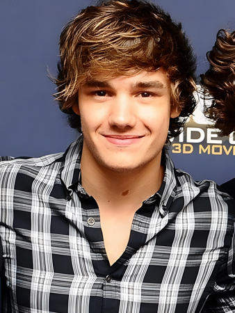 Ideal Brown Short Capless Mens Wig