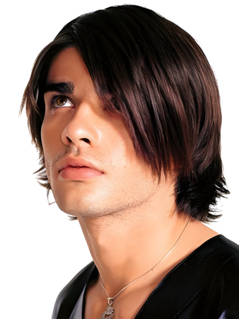 Most Popular Synthetic Straight Lace Front Wig