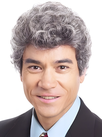 Curly Capless Synthetic Mens Wig