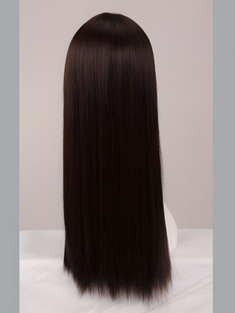 Graceful Full Lace Straight Trendy Wig