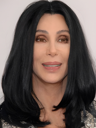 Elegant Synthetic Straight Lace Front Wig